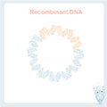 Bacterial plasmid recombinant DNA cloning scheme design element stock vector illustration